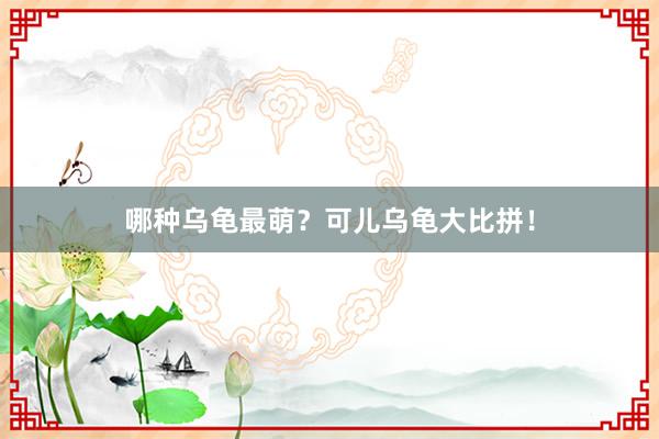 哪种乌龟最萌？可儿乌龟大比拼！